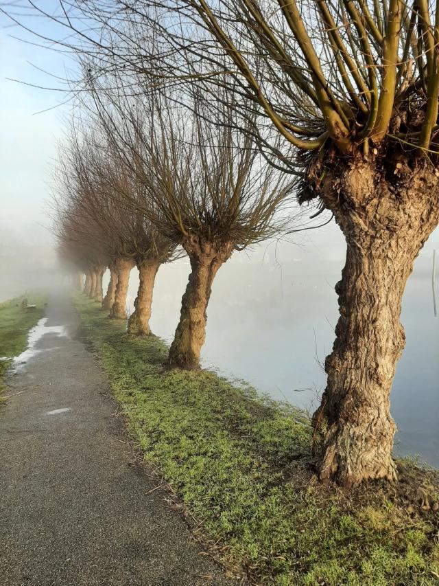 NEDERLAND - WINTER …