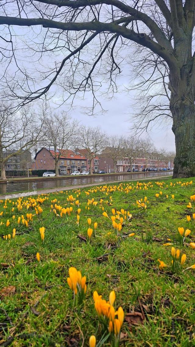 NEDERLAND - WINTER …