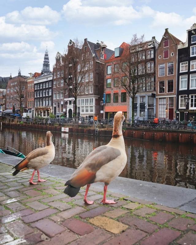 NEDERLAND - WINTER …