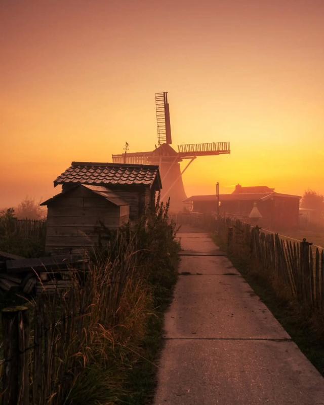 NEDERLAND - WINTER …